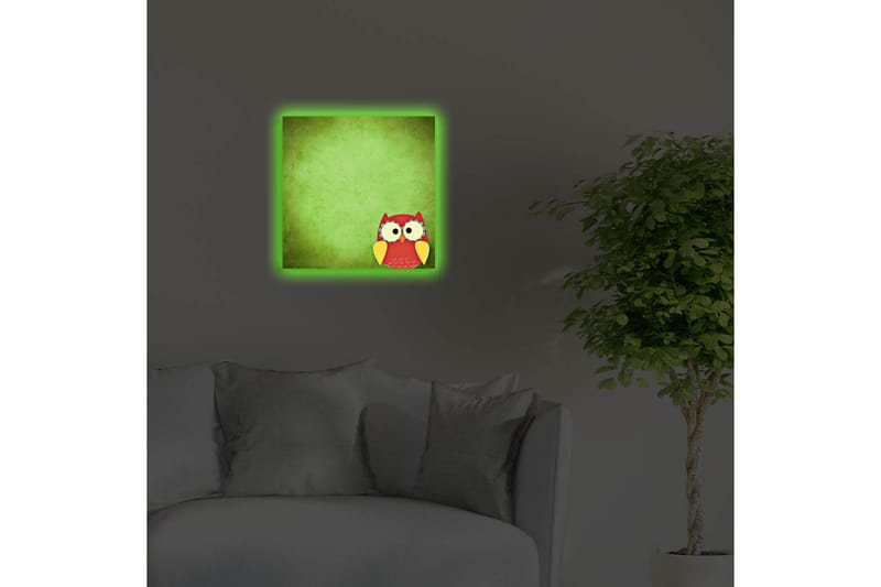 Lerretsbilde med LED-belysning 40x40 cm - Fargerik ugle på grønn bakgrunn - Grønn / Rød / Gul - Interiør - Maleri & posters - Lerretsbilder