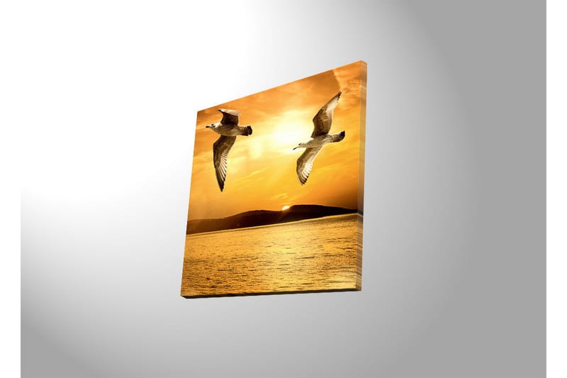 Lerretsbilde med LED-belysning 40x40 cm - Fugler som flyr over en solnedgang ved havet - Gull / Oransje / Svart - Interiør - Maleri & posters - Lerretsbilder