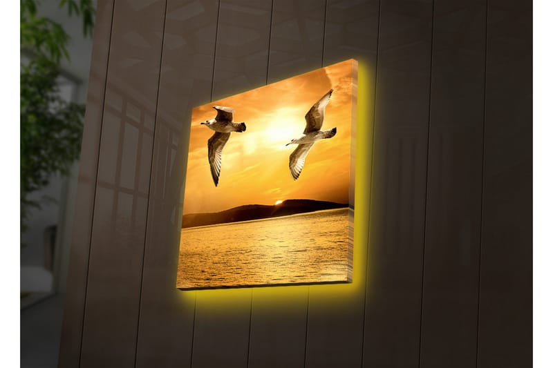 Lerretsbilde med LED-belysning 40x40 cm - Fugler som flyr over en solnedgang ved havet - Gull / Oransje / Svart - Interiør - Maleri & posters - Lerretsbilder