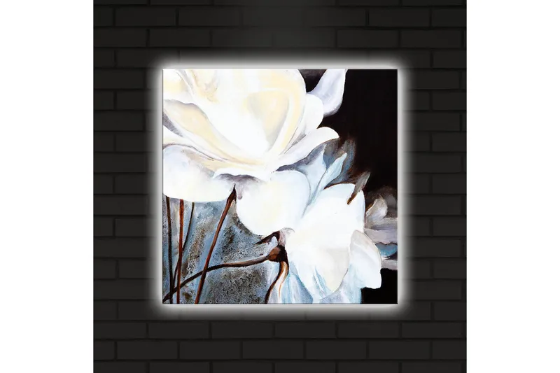 Lerretsbilde med LED-belysning 40x40 cm - Hvite blomster mot mørk bakgrunn - Hvit / Svart / Grå - Interiør - Maleri & posters - Lerretsbilder
