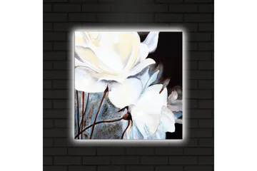 Lerretsbilde med LED-belysning 40x40 cm - Hvite blomster mot mørk bakgrunn - Hvit / Svart / Grå - Interiør - Maleri & posters - Lerretsbilder