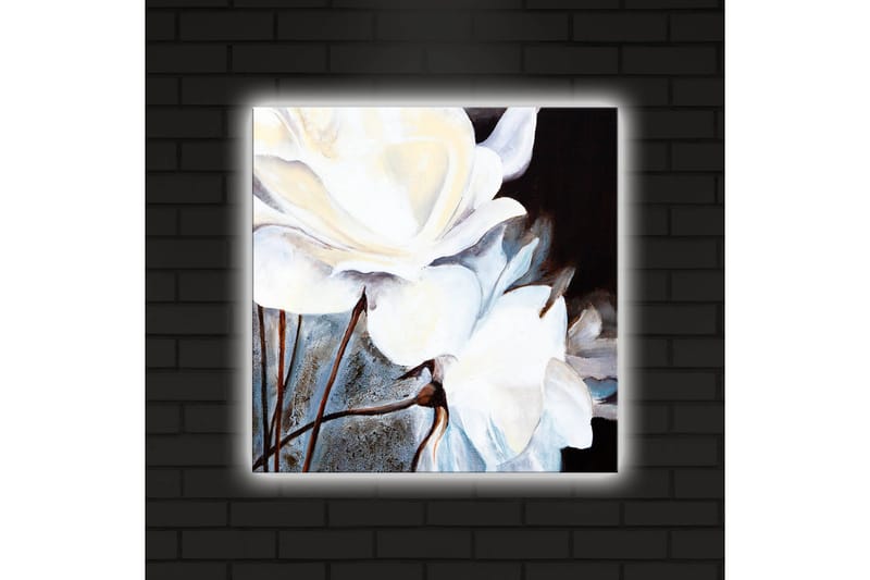 Lerretsbilde med LED-belysning 40x40 cm - Hvite blomster mot mørk bakgrunn - Hvit / Svart / Grå - Interiør - Maleri & posters - Lerretsbilder