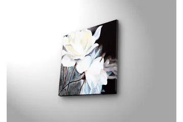 Lerretsbilde med LED-belysning 40x40 cm - Hvite blomster mot mørk bakgrunn - Hvit / Svart / Grå - Interiør - Maleri & posters - Lerretsbilder