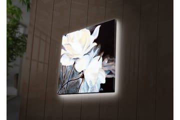 Lerretsbilde med LED-belysning 40x40 cm - Hvite blomster mot mørk bakgrunn - Hvit / Svart / Grå - Interiør - Maleri & posters - Lerretsbilder