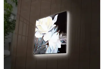 Lerretsbilde med LED-belysning 40x40 cm - Hvite blomster mot mørk bakgrunn - Hvit / Svart / Grå - Interiør - Maleri & posters - Lerretsbilder
