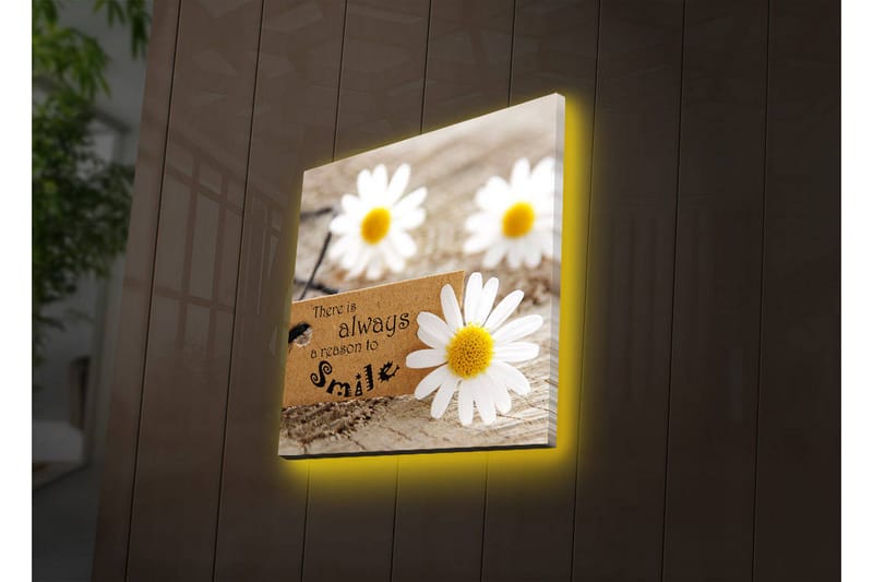 Lerretsbilde med LED-belysning 40x40 cm - Hvite klipp på en treflate med et budskap om å alltid smile, Hvit / Gul / Brun