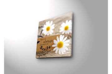 Lerretsbilde med LED-belysning 40x40 cm - Hvite klipp på en treflate med et budskap om å alltid smile - Hvit / Gul / Brun - Interiør - Maleri & posters - Lerretsbilder