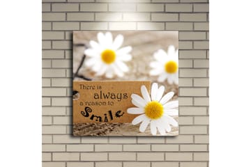 Lerretsbilde med LED-belysning 40x40 cm - Hvite klipp på en treflate med et budskap om å alltid smile - Hvit / Gul / Brun - Interiør - Maleri & posters - Lerretsbilder