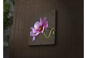 Lerretsbilde med LED-belysning 40x40 cm - Rosa blomster med grønn stilk - Rosa / Grønn - Interiør - Maleri & posters - Lerretsbilder