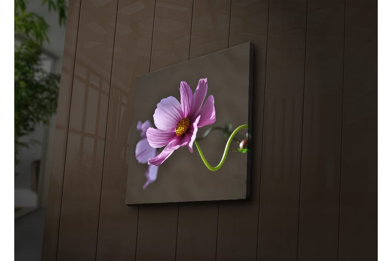 Lerretsbilde med LED-belysning 40x40 cm - Rosa blomster med grønn stilk - Rosa / Grønn - Interiør - Maleri & posters - Lerretsbilder