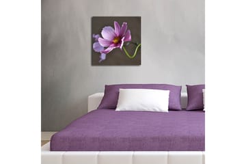 Lerretsbilde med LED-belysning 40x40 cm - Rosa blomster med grønn stilk - Rosa / Grønn - Interiør - Maleri & posters - Lerretsbilder