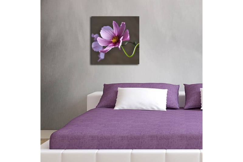 Lerretsbilde med LED-belysning 40x40 cm - Rosa blomster med grønn stilk - Rosa / Grønn - Interiør - Maleri & posters - Lerretsbilder