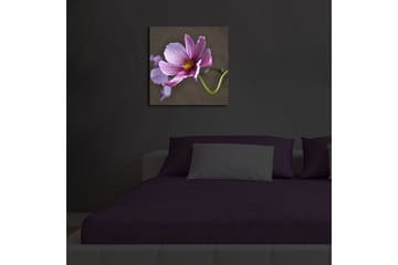 Lerretsbilde med LED-belysning 40x40 cm - Rosa blomster med grønn stilk - Rosa / Grønn - Interiør - Maleri & posters - Lerretsbilder