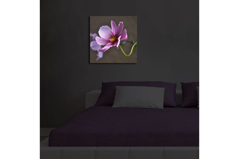 Lerretsbilde med LED-belysning 40x40 cm - Rosa blomster med grønn stilk - Rosa / Grønn - Interiør - Maleri & posters - Lerretsbilder