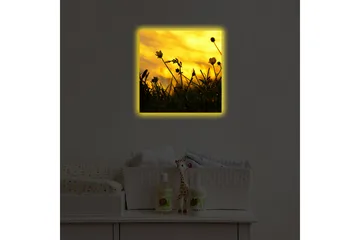 Lerretsbilde med LED-belysning 40x40 cm - Silhuett av blomster mot en gyllen solnedgang - Gull / Svart - Interiør - Maleri & posters - Lerretsbilder