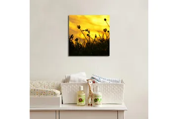 Lerretsbilde med LED-belysning 40x40 cm - Silhuett av blomster mot en gyllen solnedgang - Gull / Svart - Interiør - Maleri & posters - Lerretsbilder