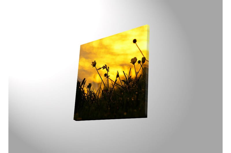 Lerretsbilde med LED-belysning 40x40 cm - Silhuett av blomster mot en gyllen solnedgang - Gull / Svart - Interiør - Maleri & posters - Lerretsbilder