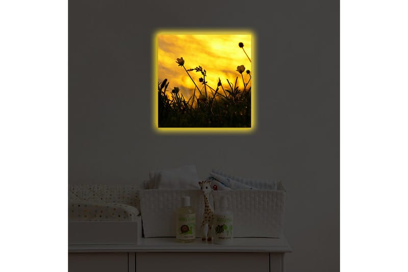 Lerretsbilde med LED-belysning 40x40 cm - Silhuett av blomster mot en gyllen solnedgang - Gull / Svart - Interiør - Maleri & posters - Lerretsbilder