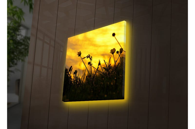 Lerretsbilde med LED-belysning 40x40 cm - Silhuett av blomster mot en gyllen solnedgang - Gull / Svart - Interiør - Maleri & posters - Lerretsbilder