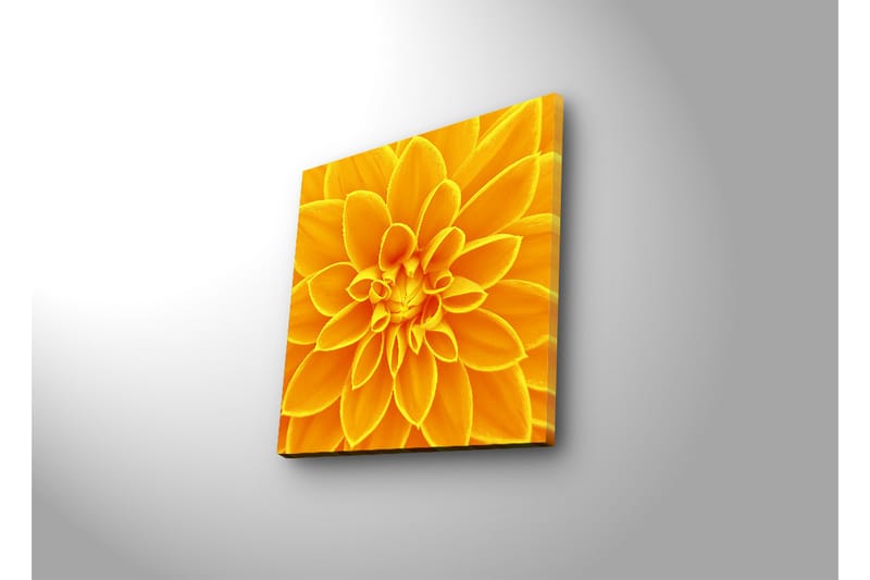 Lerretsbilde med LED-belysning 40x40 cm - Storslått blomst i gult - Gul / Oransje - Interiør - Maleri & posters - Lerretsbilder