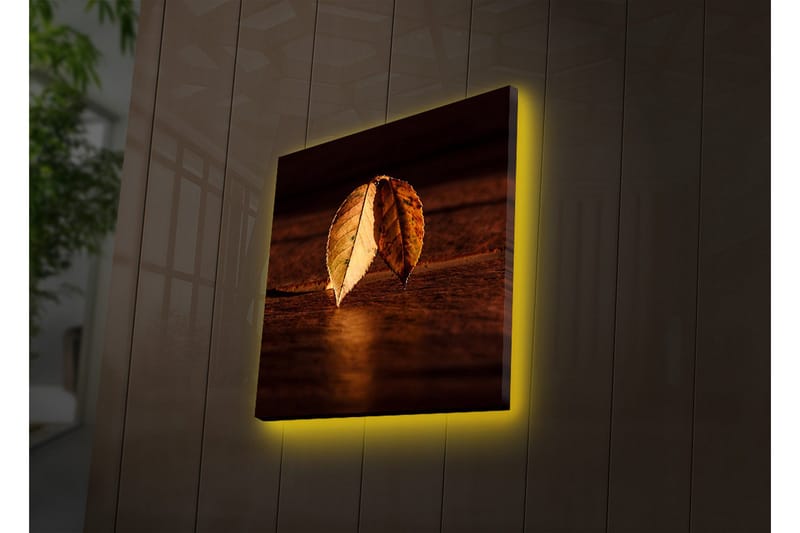 Lerretsbilde med LED-belysning 40x40 cm - To overlappende høstblader på en treflate - Gull / Brun / Grønn - Interiør - Maleri & posters - Lerretsbilder