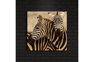 Lerretsbilde med LED-belysning 40x40 cm - To sebraer som står tett inntil hverandre - Svart / Beige / Hvit - Interiør - Maleri & posters - Lerretsbilder