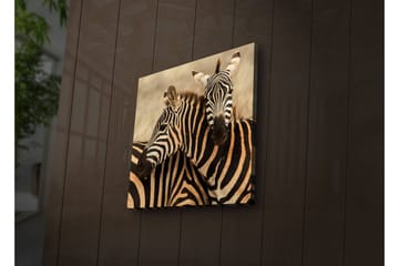 Lerretsbilde med LED-belysning 40x40 cm - To sebraer som står tett inntil hverandre - Svart / Beige / Hvit - Interiør - Maleri & posters - Lerretsbilder
