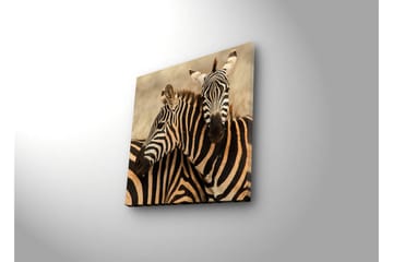 Lerretsbilde med LED-belysning 40x40 cm - To sebraer som står tett inntil hverandre - Svart / Beige / Hvit - Interiør - Maleri & posters - Lerretsbilder