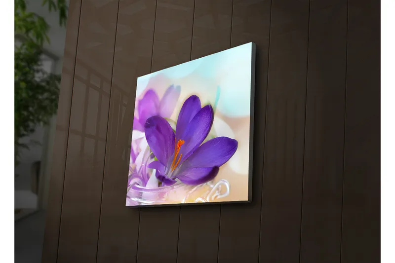 Lerretsbilde med LED-belysning 40x40 cm - Vakker krokusblomst i lilla nyanser - Lilla / Oransje / Grønn - Interiør - Maleri & posters - Lerretsbilder