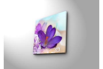Lerretsbilde med LED-belysning 40x40 cm - Vakker krokusblomst i lilla nyanser - Lilla / Oransje / Grønn - Interiør - Maleri & posters - Lerretsbilder