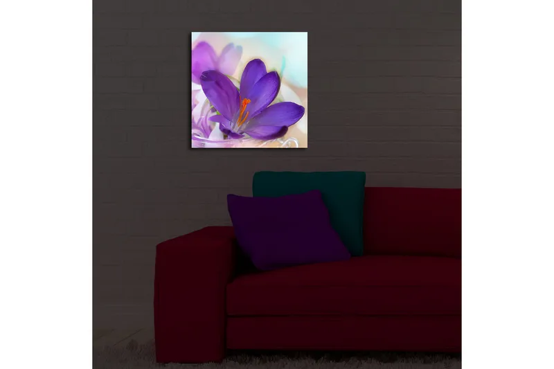 Lerretsbilde med LED-belysning 40x40 cm - Vakker krokusblomst i lilla nyanser - Lilla / Oransje / Grønn - Interiør - Maleri & posters - Lerretsbilder