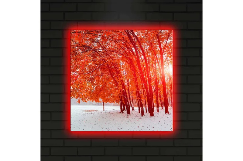 Lerretsbilde med LED-belysning 40x40 cm - Vakker skog med glødende høstblader - Rød / Hvit - Interiør - Maleri & posters - Lerretsbilder