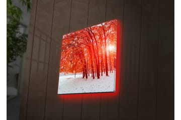 Lerretsbilde med LED-belysning 40x40 cm - Vakker skog med glødende høstblader - Rød / Hvit - Interiør - Maleri & posters - Lerretsbilder