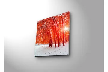 Lerretsbilde med LED-belysning 40x40 cm - Vakker skog med glødende høstblader - Rød / Hvit - Interiør - Maleri & posters - Lerretsbilder