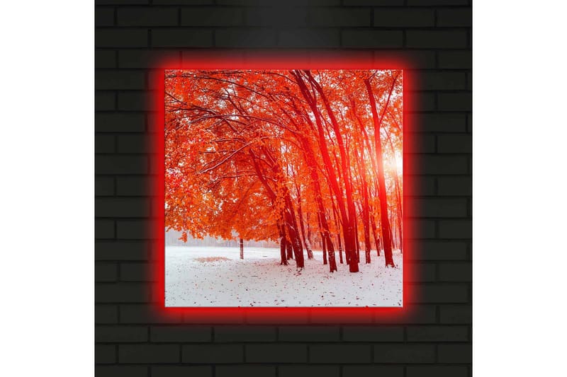 Lerretsbilde med LED-belysning 40x40 cm - Vakker skog med glødende høstblader - Rød / Hvit - Interiør - Maleri & posters - Lerretsbilder