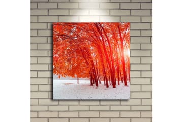Lerretsbilde med LED-belysning 40x40 cm - Vakker skog med glødende høstblader - Rød / Hvit - Interiør - Maleri & posters - Lerretsbilder