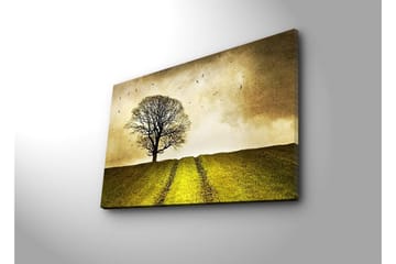 Lerretsbilde med LED-belysning 45x70 cm - Ensom tretopp på en grønn ås under en gyllen himmel - Gull / Grønn / Brun - Interiør - Maleri & posters - Lerretsbilder