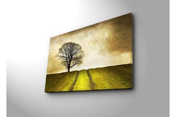 Lerretsbilde med LED-belysning 45x70 cm - Ensom tretopp på en grønn ås under en gyllen himmel - Gull / Grønn / Brun - Interiør - Maleri & posters - Lerretsbilder