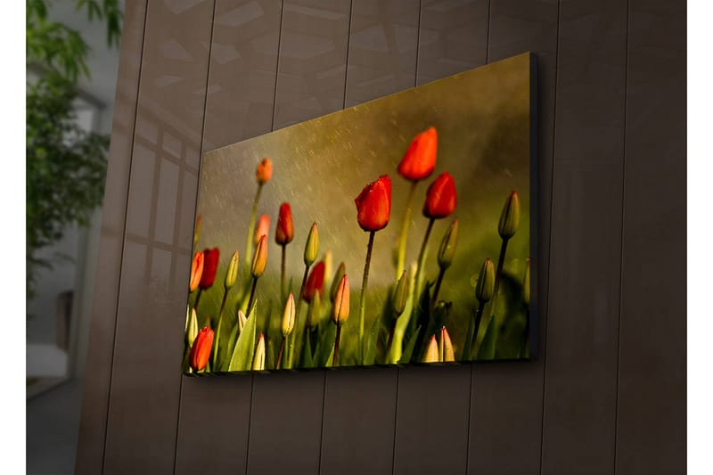 Lerretsbilde med LED-belysning 45x70 cm - Fargerike tulipaner i blomst - Rød / Grønn / Gulgrønn - Interiør - Maleri & posters - Lerretsbilder