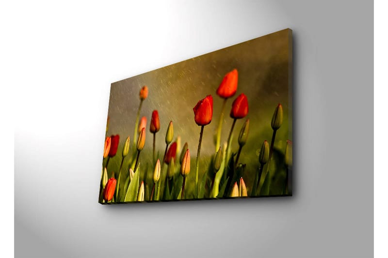 Lerretsbilde med LED-belysning 45x70 cm - Fargerike tulipaner i blomst - Rød / Grønn / Gulgrønn - Interiør - Maleri & posters - Lerretsbilder