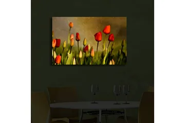 Lerretsbilde med LED-belysning 45x70 cm - Fargerike tulipaner i blomst - Rød / Grønn / Gulgrønn - Interiør - Maleri & posters - Lerretsbilder