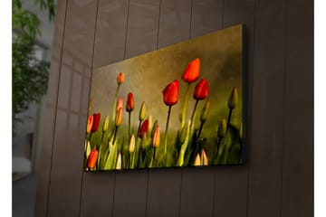 Lerretsbilde med LED-belysning 45x70 cm - Fargerike tulipaner i blomst - Rød / Grønn / Gulgrønn - Interiør - Maleri & posters - Lerretsbilder