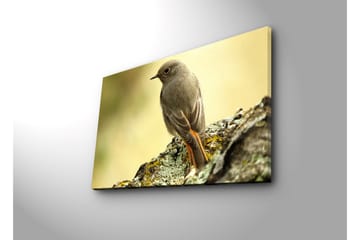 Lerretsbilde med LED-belysning 45x70 cm - Fugl sittende på en stein med myk bakgrunn - Grå / Oransje / Beige - Interiør - Maleri & posters - Lerretsbilder