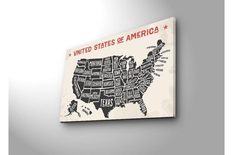 Lerretsbilde med LED-belysning 45x70 cm - Kart over USA med stater i svart-hvitt-bakgrunn - Svart / Hvit / Rød - Interiør - Maleri & posters - Lerretsbilder