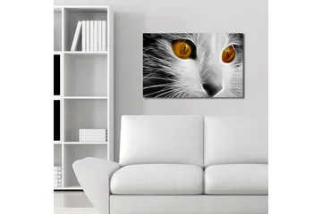 Lerretsbilde med LED-belysning 45x70 cm - Katteansikt med intense øyne - Hvit / Svart / Oransje - Interiør - Maleri & posters - Lerretsbilder