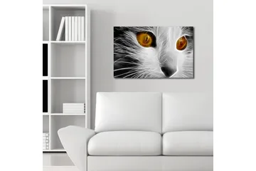 Lerretsbilde med LED-belysning 45x70 cm - Katteansikt med intense øyne - Hvit / Svart / Oransje - Interiør - Maleri & posters - Lerretsbilder