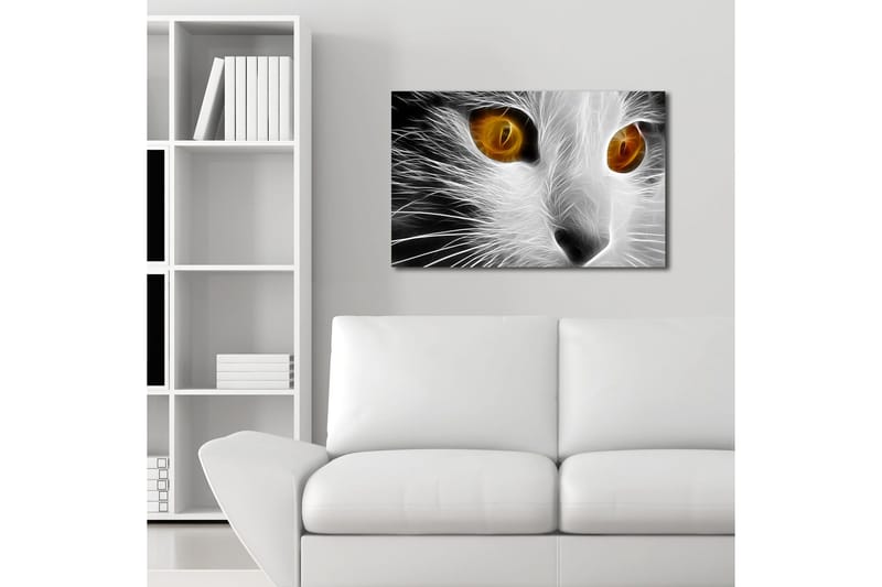 Lerretsbilde med LED-belysning 45x70 cm - Katteansikt med intense øyne - Hvit / Svart / Oransje - Interiør - Maleri & posters - Lerretsbilder