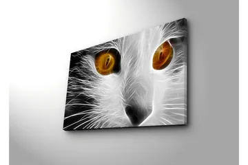 Lerretsbilde med LED-belysning 45x70 cm - Katteansikt med intense øyne - Hvit / Svart / Oransje - Interiør - Maleri & posters - Lerretsbilder