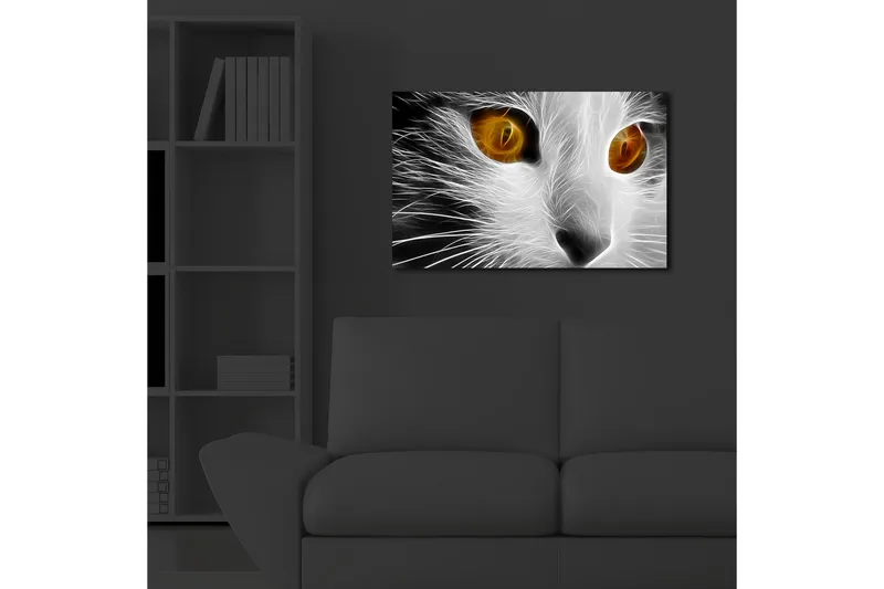 Lerretsbilde med LED-belysning 45x70 cm - Katteansikt med intense øyne - Hvit / Svart / Oransje - Interiør - Maleri & posters - Lerretsbilder