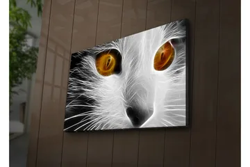 Lerretsbilde med LED-belysning 45x70 cm - Katteansikt med intense øyne - Hvit / Svart / Oransje - Interiør - Maleri & posters - Lerretsbilder